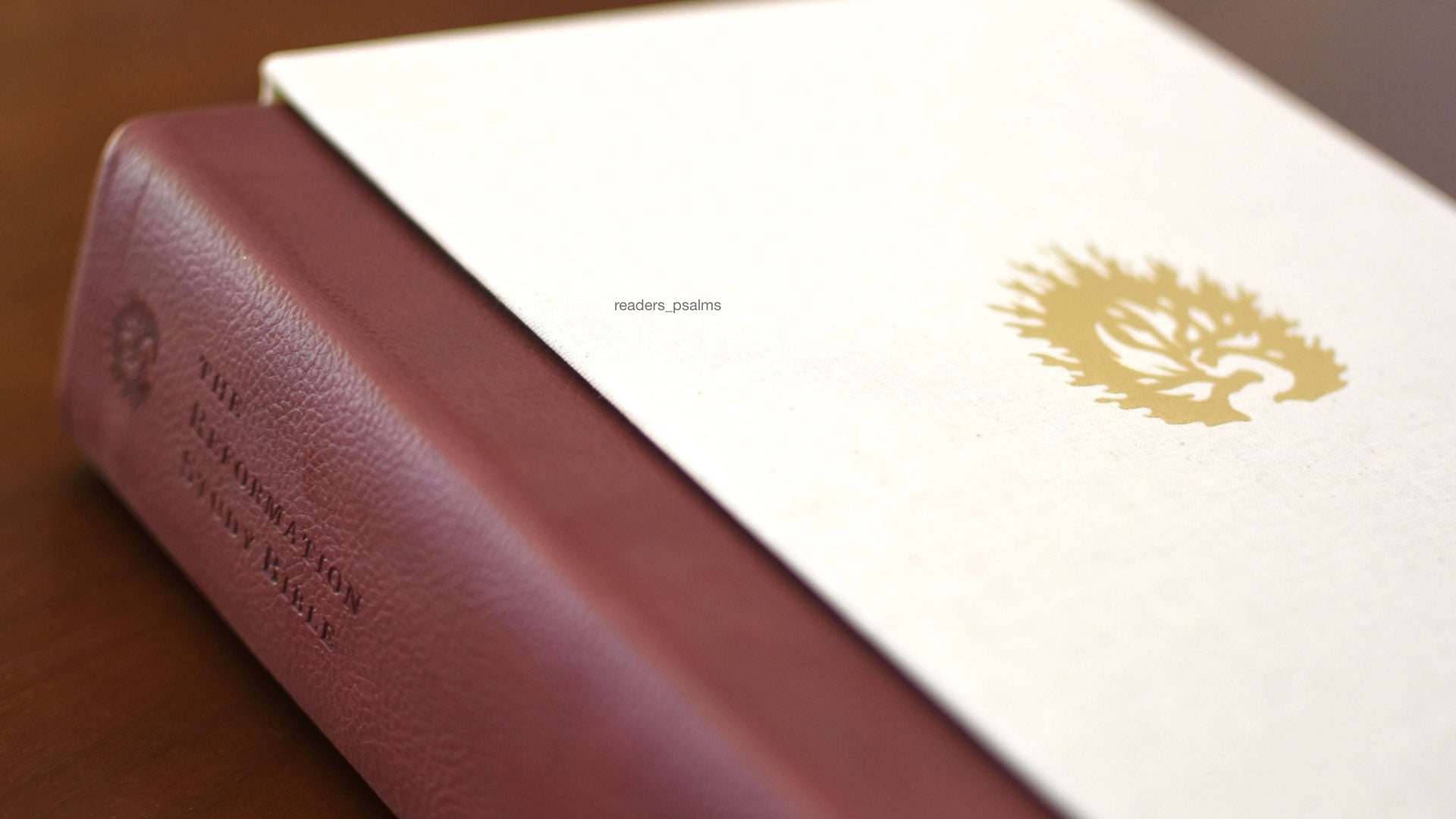 Reformation Study Bible – Westminster Bookstore