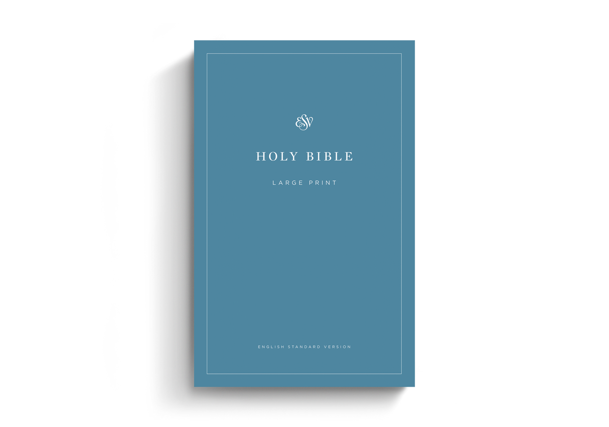 ESV Economy Bible, Large Print (Paperback) - Multiple - 9798874906481