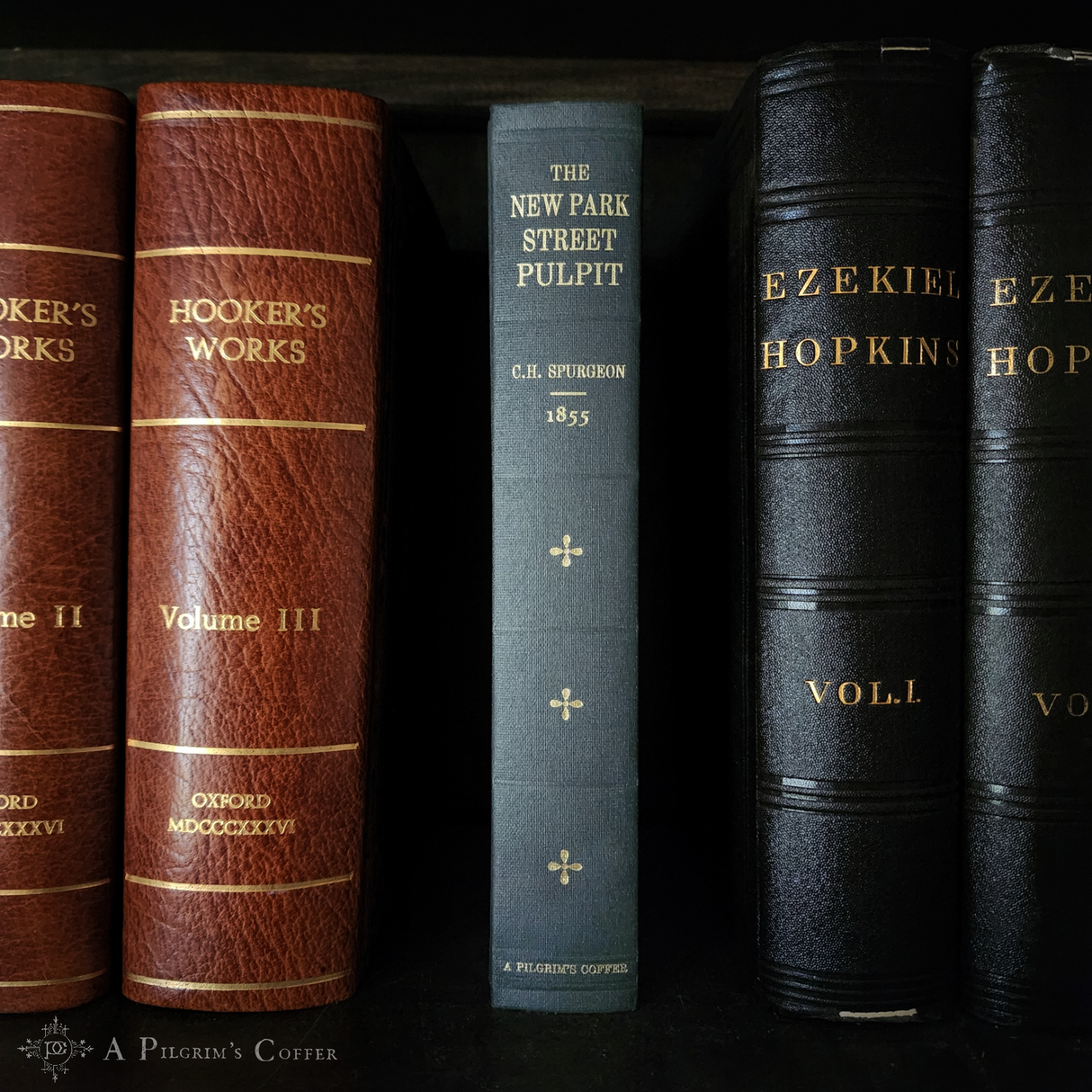 Spurgeon Sermons: New Park Street Pulpit, Vol. I (1855)