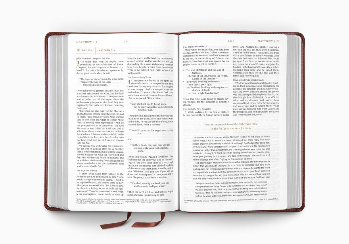 ESV Everyday Gospel Bible: Connecting Scripture to All of Life (Trutone, Chestnut)