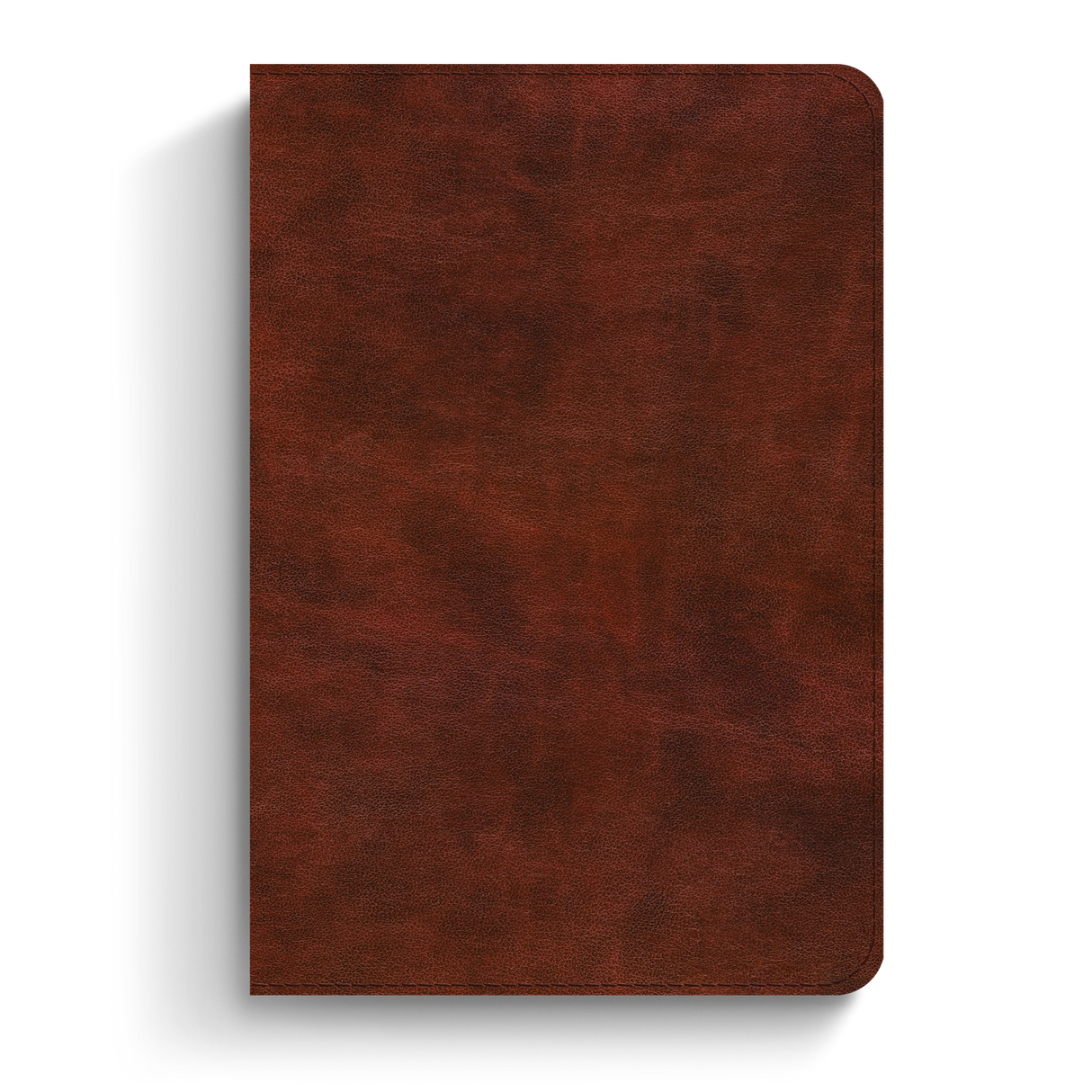 ESV Bible Promises: 700 Passages to Strengthen Your Faith (Trutone, Brown)