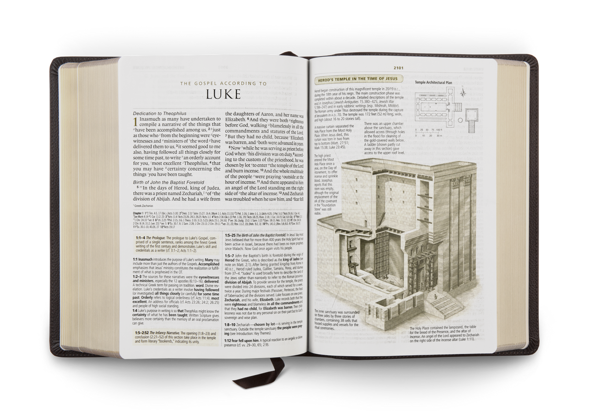 ESV Study Bible, Large Print (Buffalo Leather, Deep Brown)