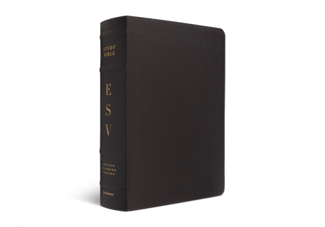 ESV Study Bible, Large Print (Buffalo Leather, Deep Brown)