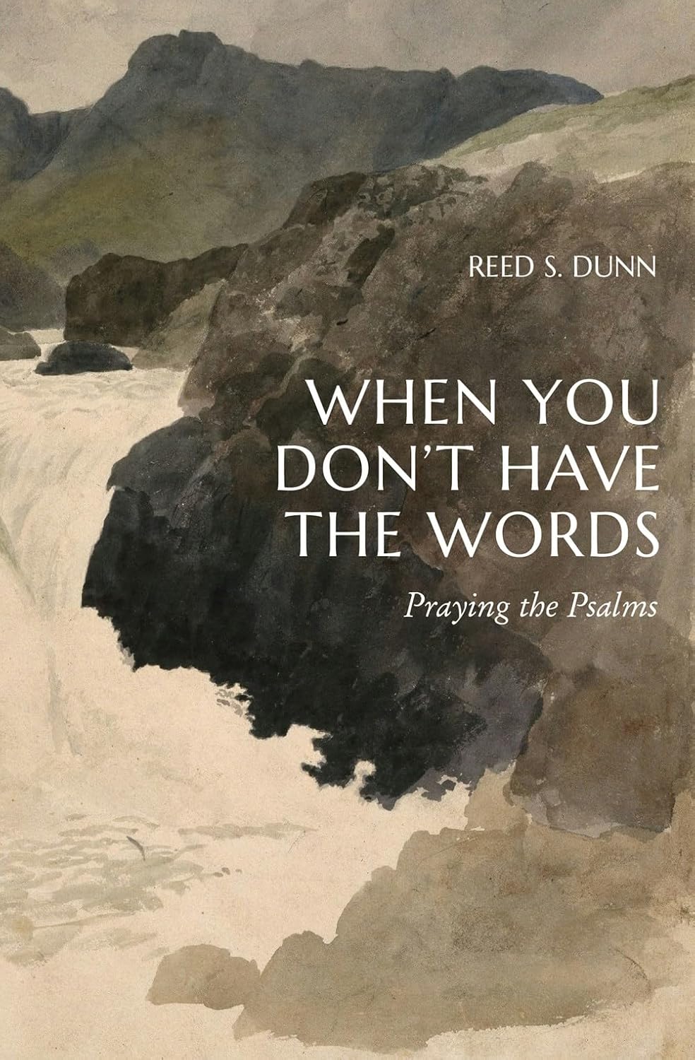When You Don't Have the Words: Praying the Psalms - Dunn, Reed S - 9781683598060