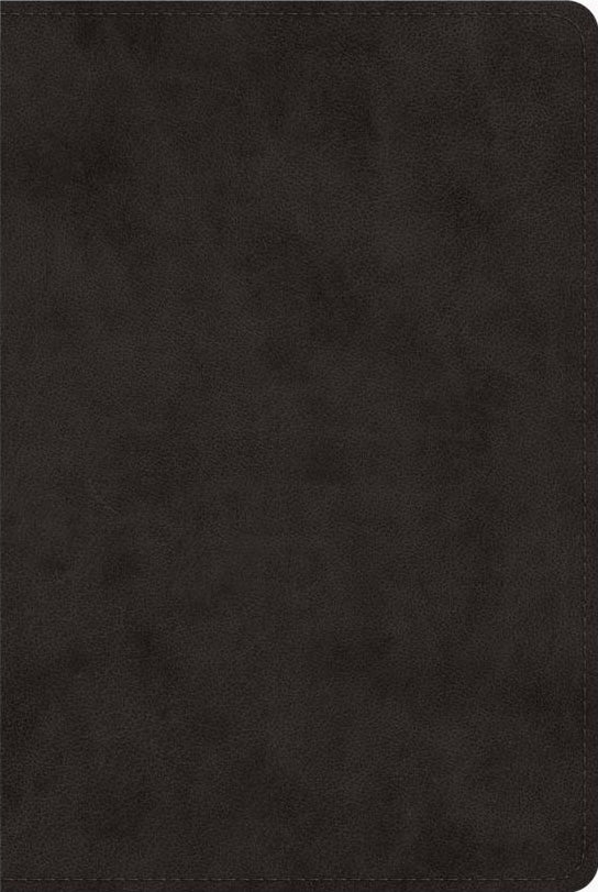 ESV Single Column Heritage Bible (Trutone, Black) - ESV - 9781433591969