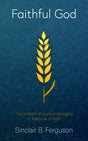 Faithful God: The Wisdom of God's Sovereignty in the book of Ruth - Ferguson, Sinclair - 9781783973521