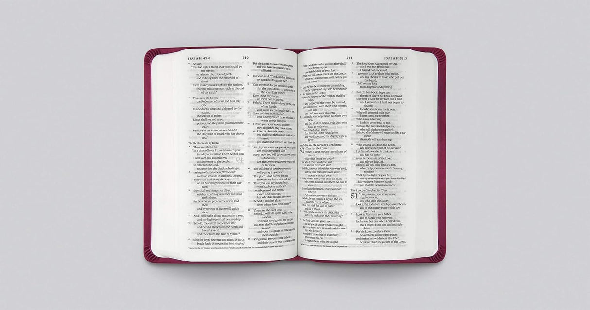 ESV Value Compact Bible (Trutone, Raspberry, Floral Design)