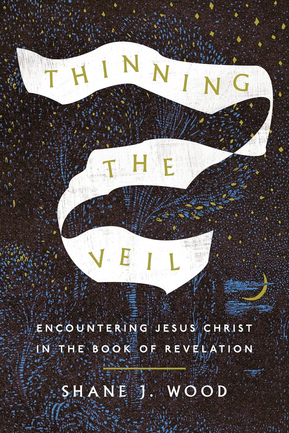 Thinning the Veil: Encountering Jesus Christ in the Book of Revelation - Wood, Shane J - 9781514009222