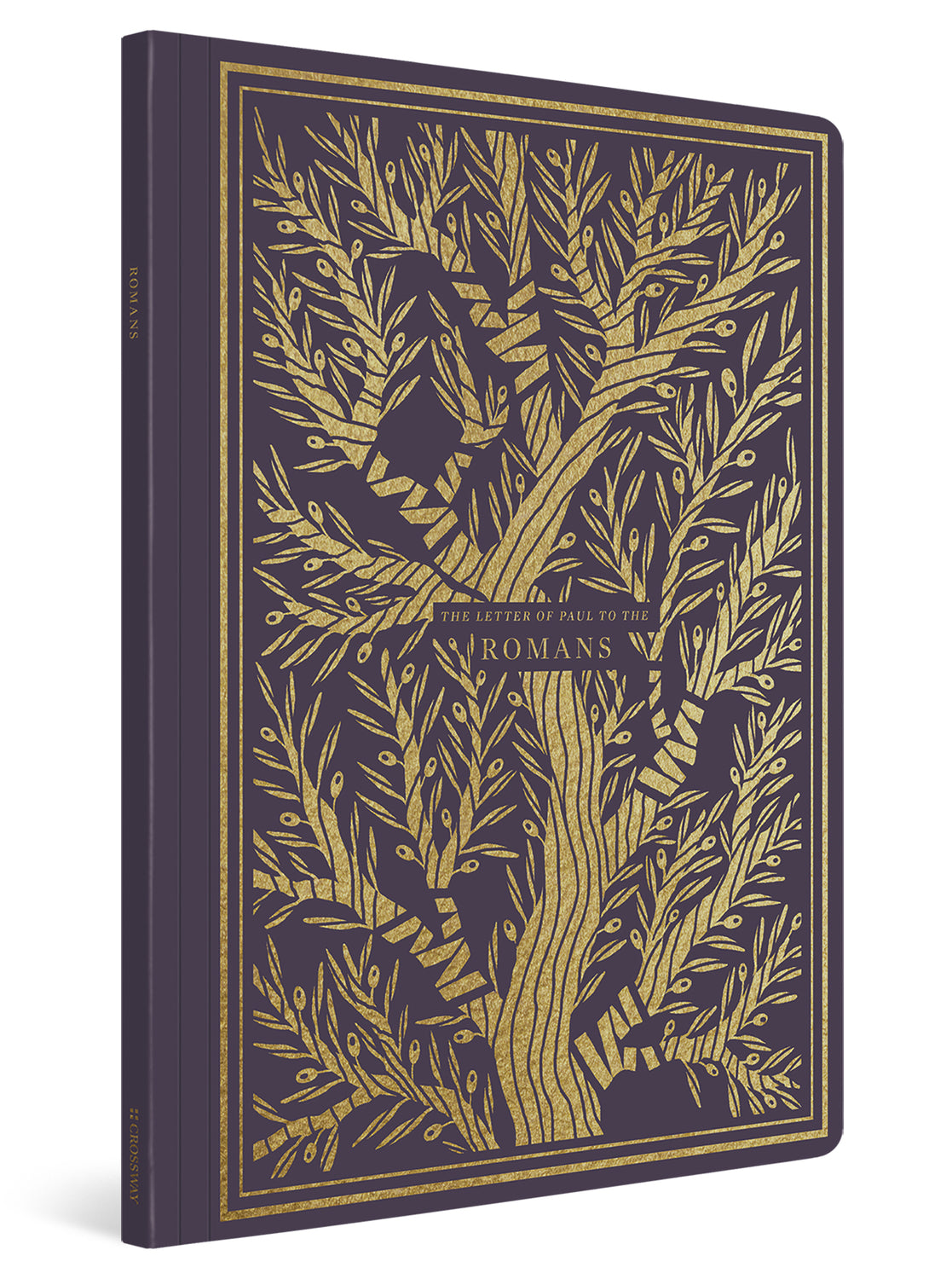 ESV Illuminated Scripture Journal: Romans (Paperback) cover image (1066783113263)