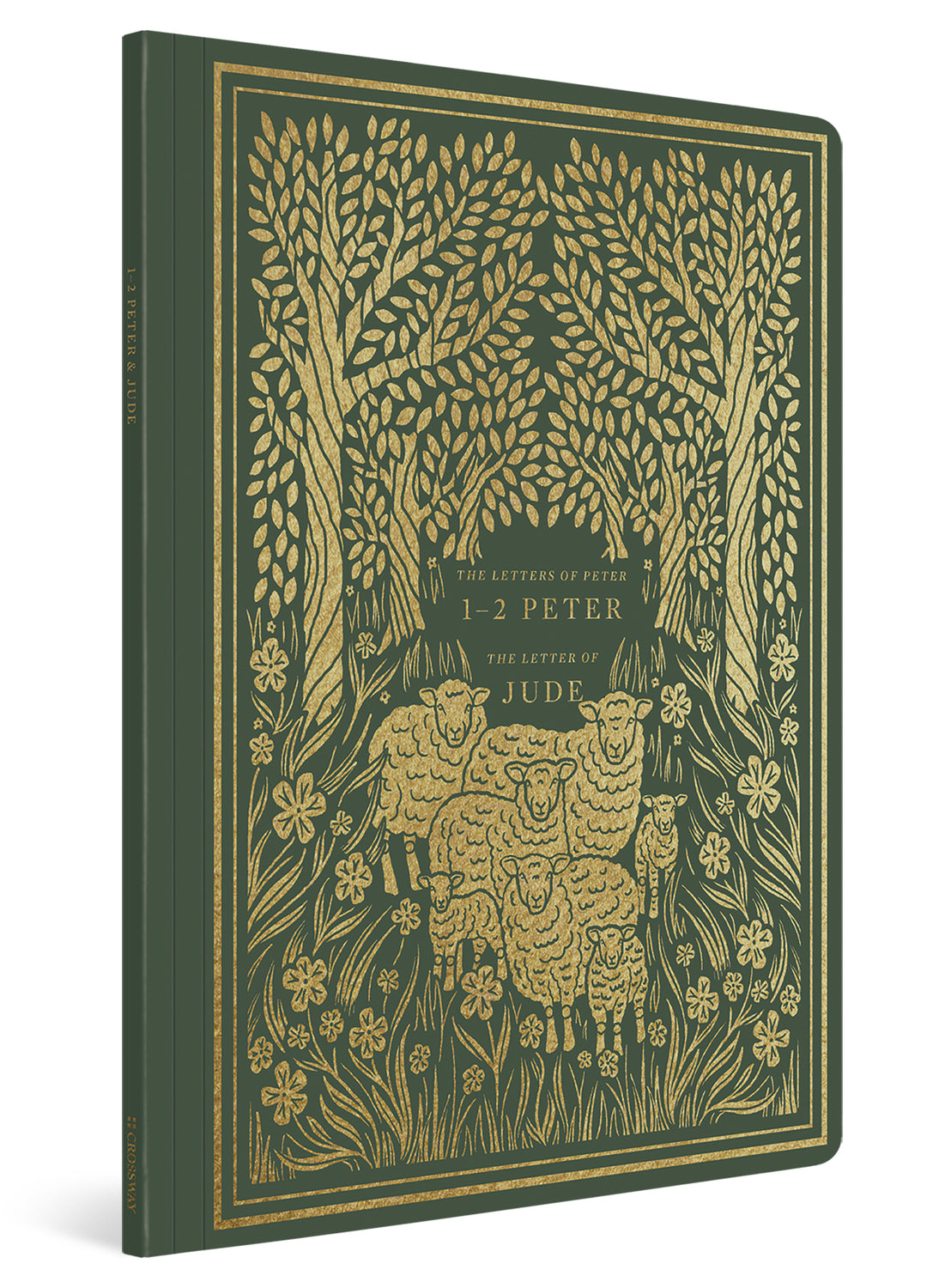 ESV Illuminated Scripture Journal: 1-2 Peter and Jude (Paperback) front cover