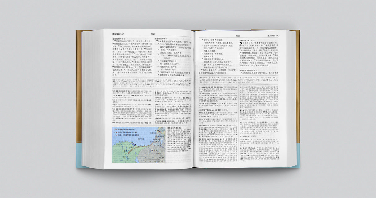 Chinese Study Bible (Hardcover)