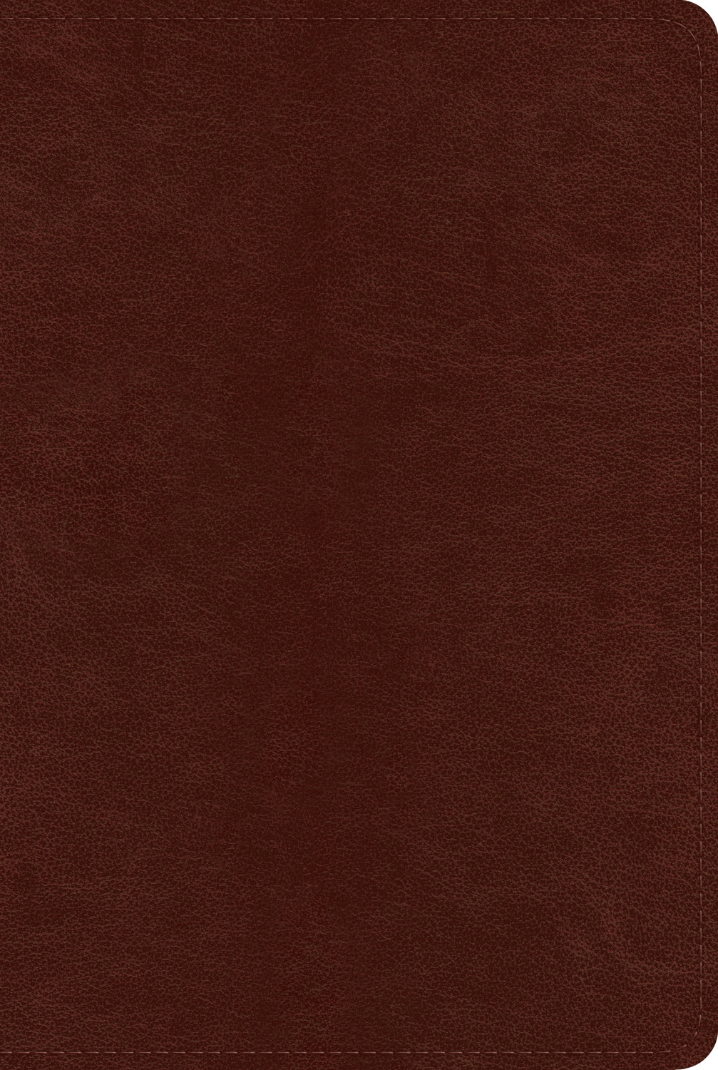 ESV Systematic Theology Study Bible: Theology Rooted in the Word of God (Trutone, Chestnut) front cover (7714244985032)