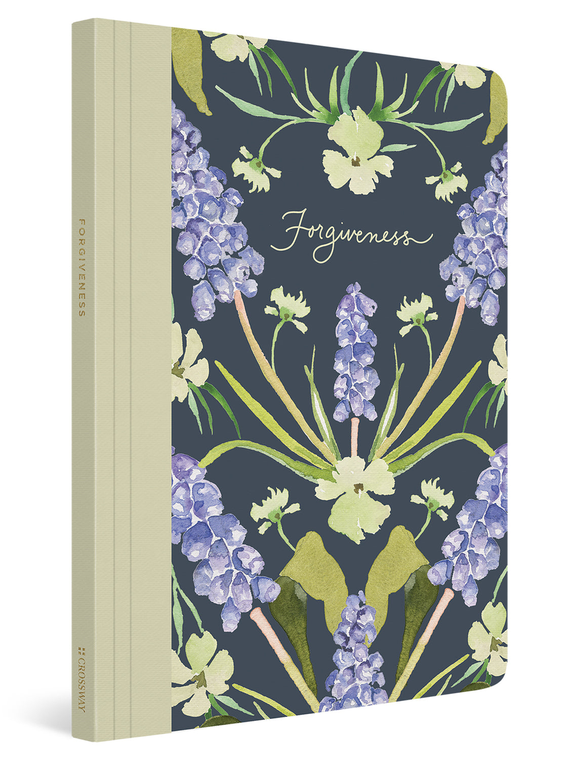 ESV Prayer Journal: 30 Days on Forgiveness (Paperback) cover image (8251966390472)