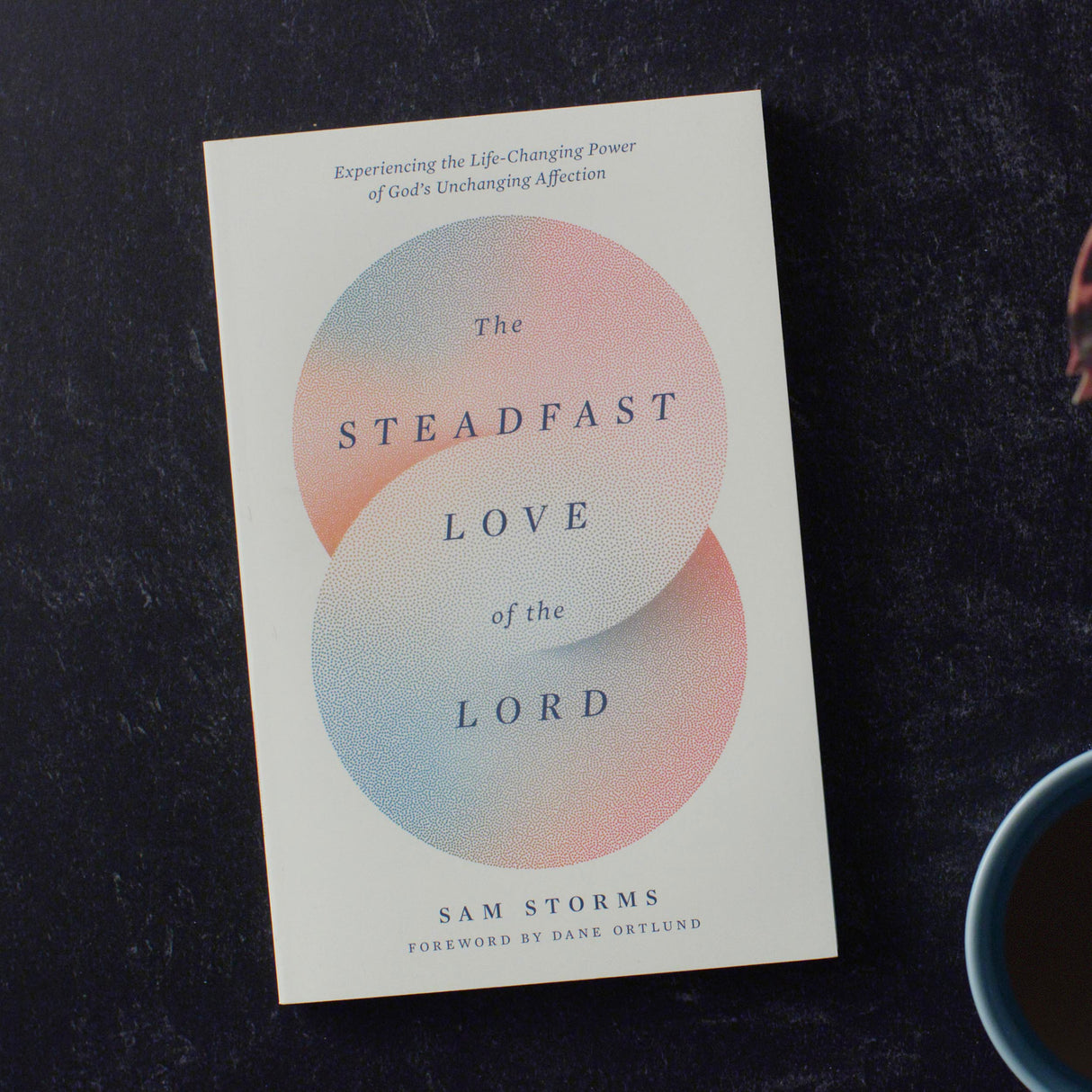 The Steadfast Love of the Lord: Experiencing the Life-Changing Power of God's Unchanging Affection