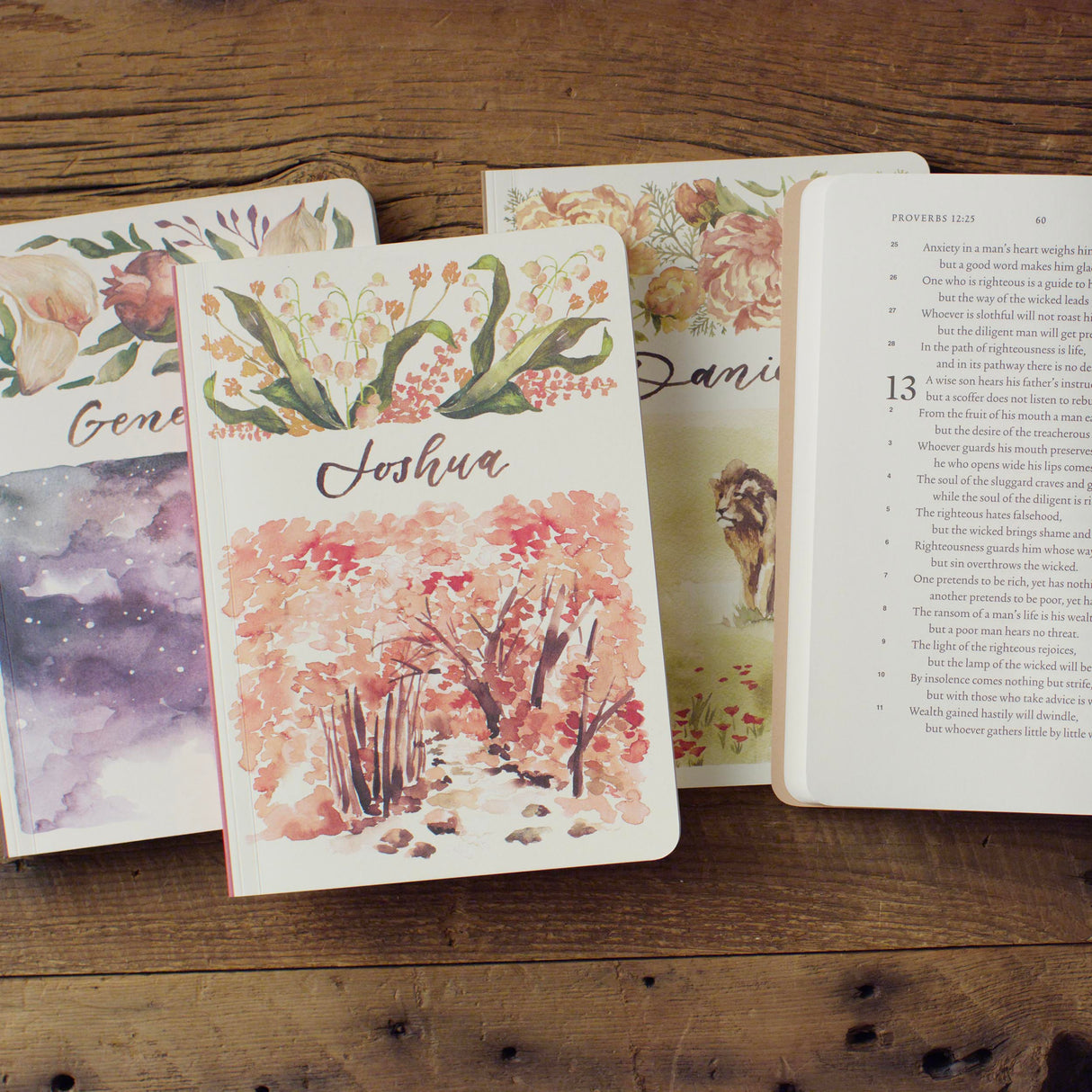 ESV Scripture Journal: Old Testament Set (Artwork by Ruth Chou Simons) (Paperback)