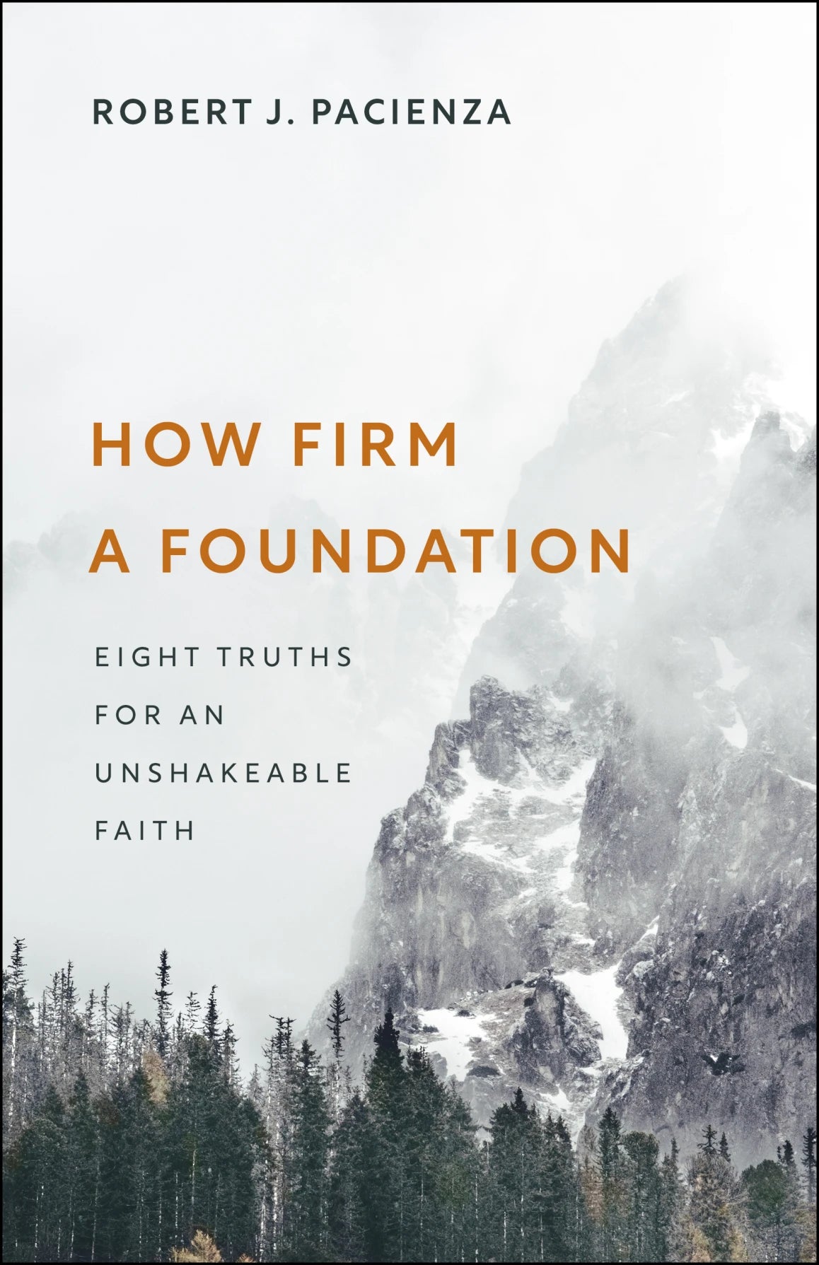 How Firm a Foundation: Eight Truths for an Unshakeable Faith - Pacienza, Robert J - 9781527112704