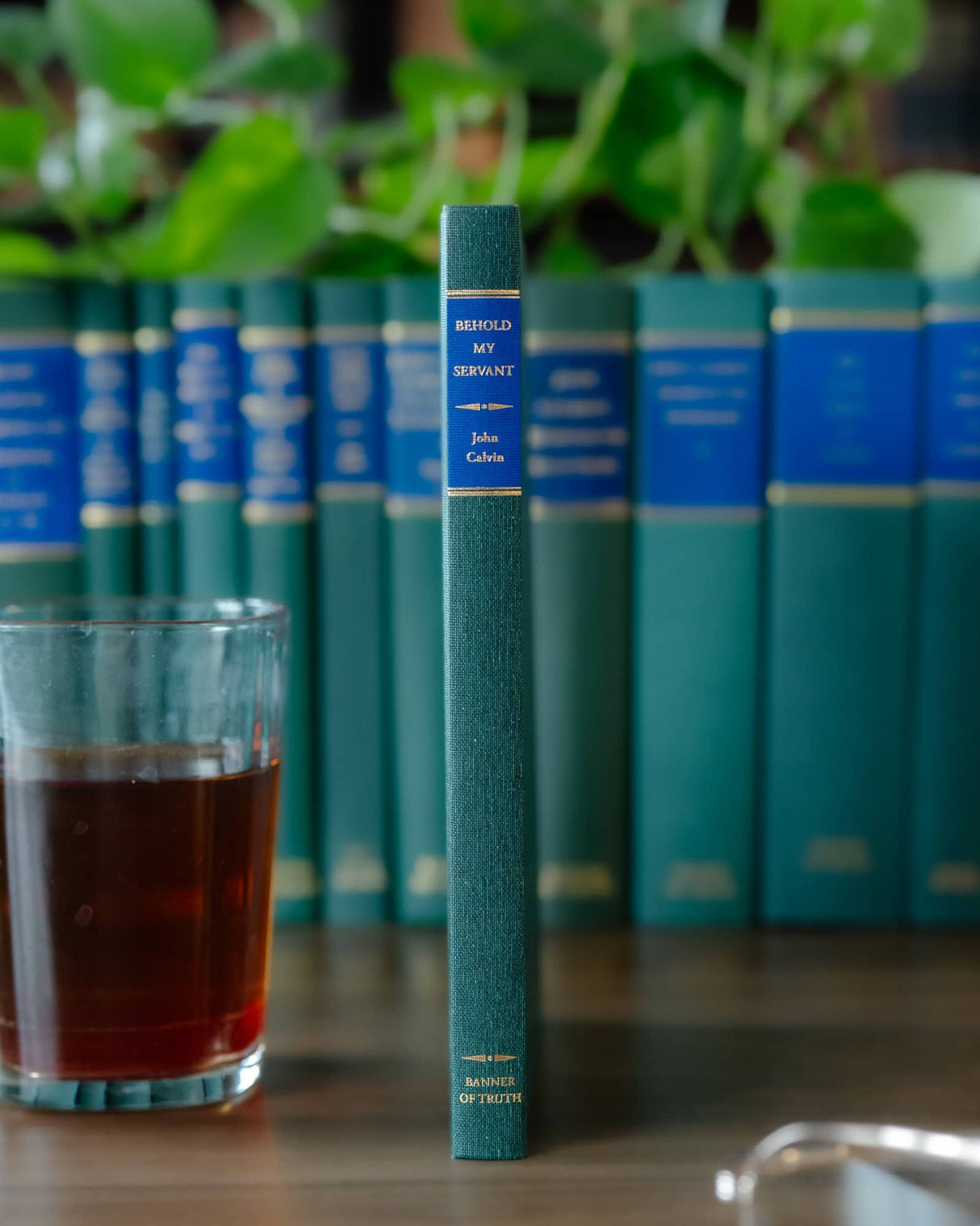 Behold My Servant: Sermons on Isaiah 52:13-53:12