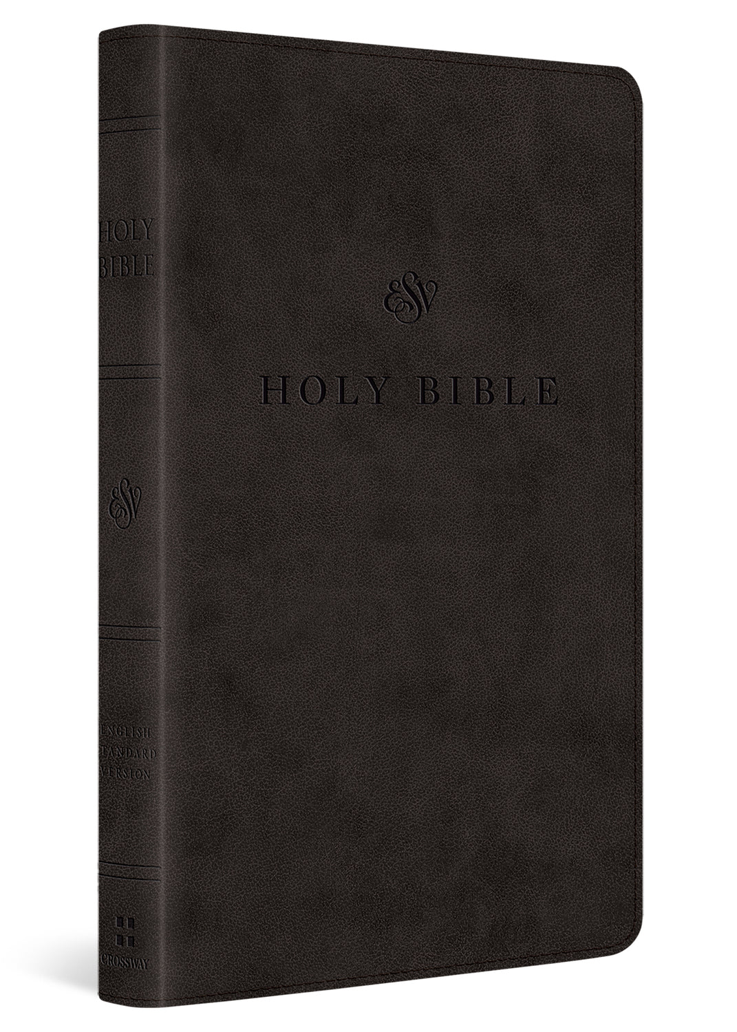 ESV Premium Church Bible, Large Print (Trutone, Black) cover image (8251955937480)