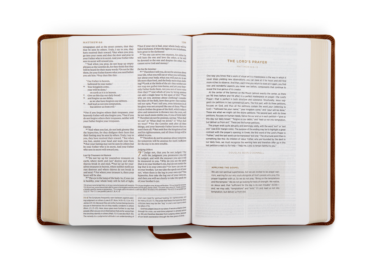 ESV Applying the Gospel Study Bible for Men (Trutone, Brown)