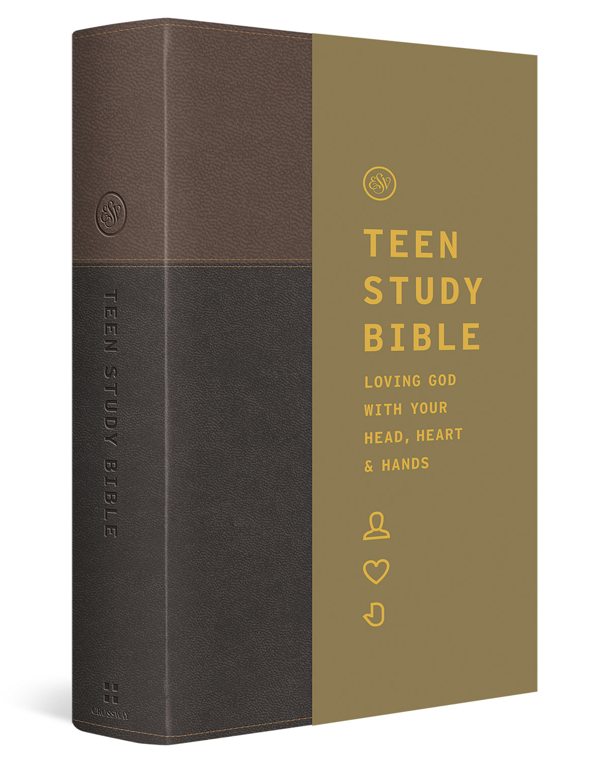 ESV Teen Study Bible (Trutone, Slate/Umber) cover image (8252157591752)
