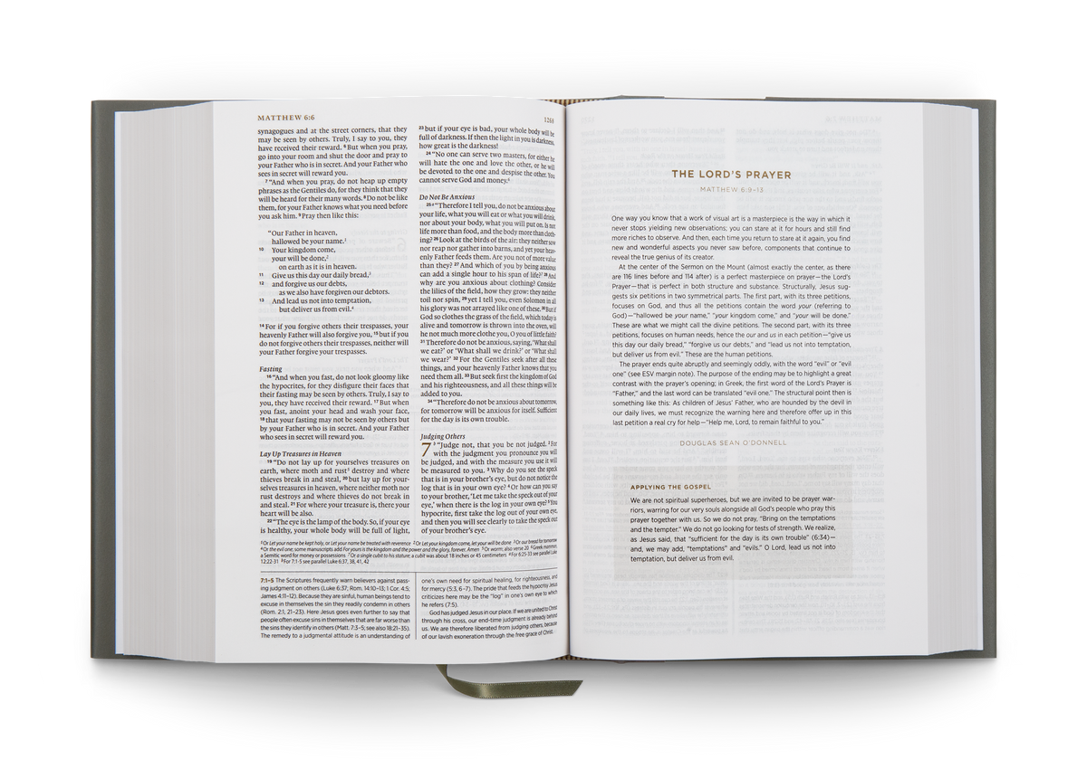 ESV Applying the Gospel Study Bible for Men (Hardcover)