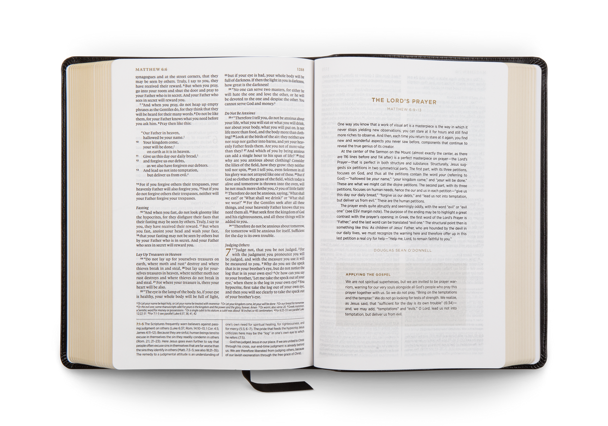 ESV Applying the Gospel Study Bible for Men (Trutone, Black)