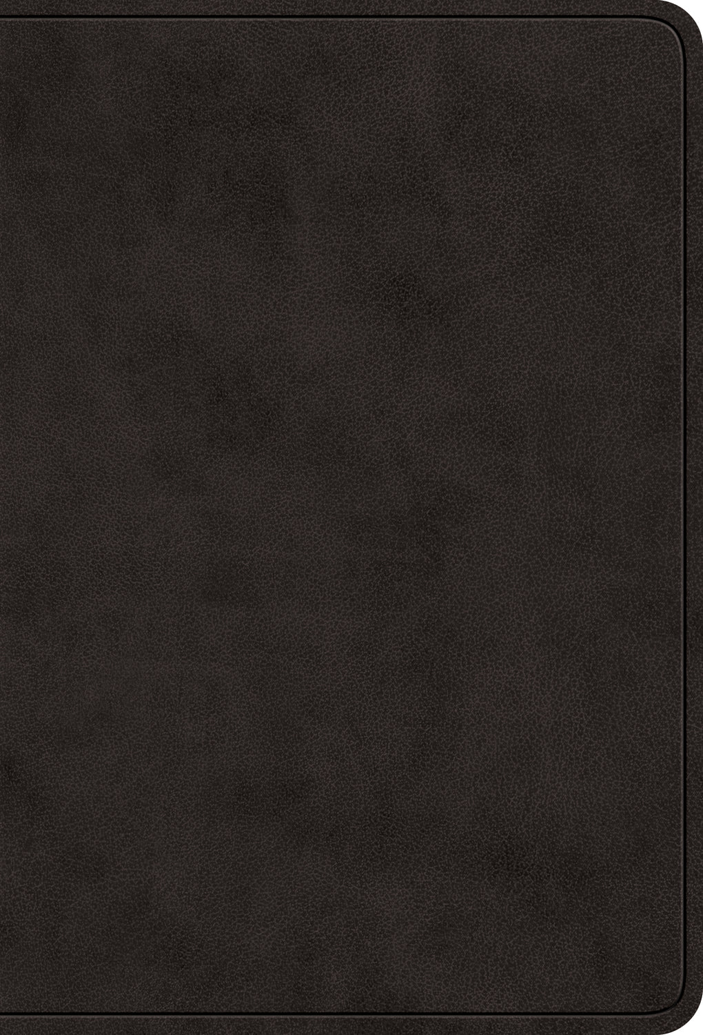 ESV Value Large Print Compact Bible, Red Letter (Trutone, Black) front cover (8252160442568)