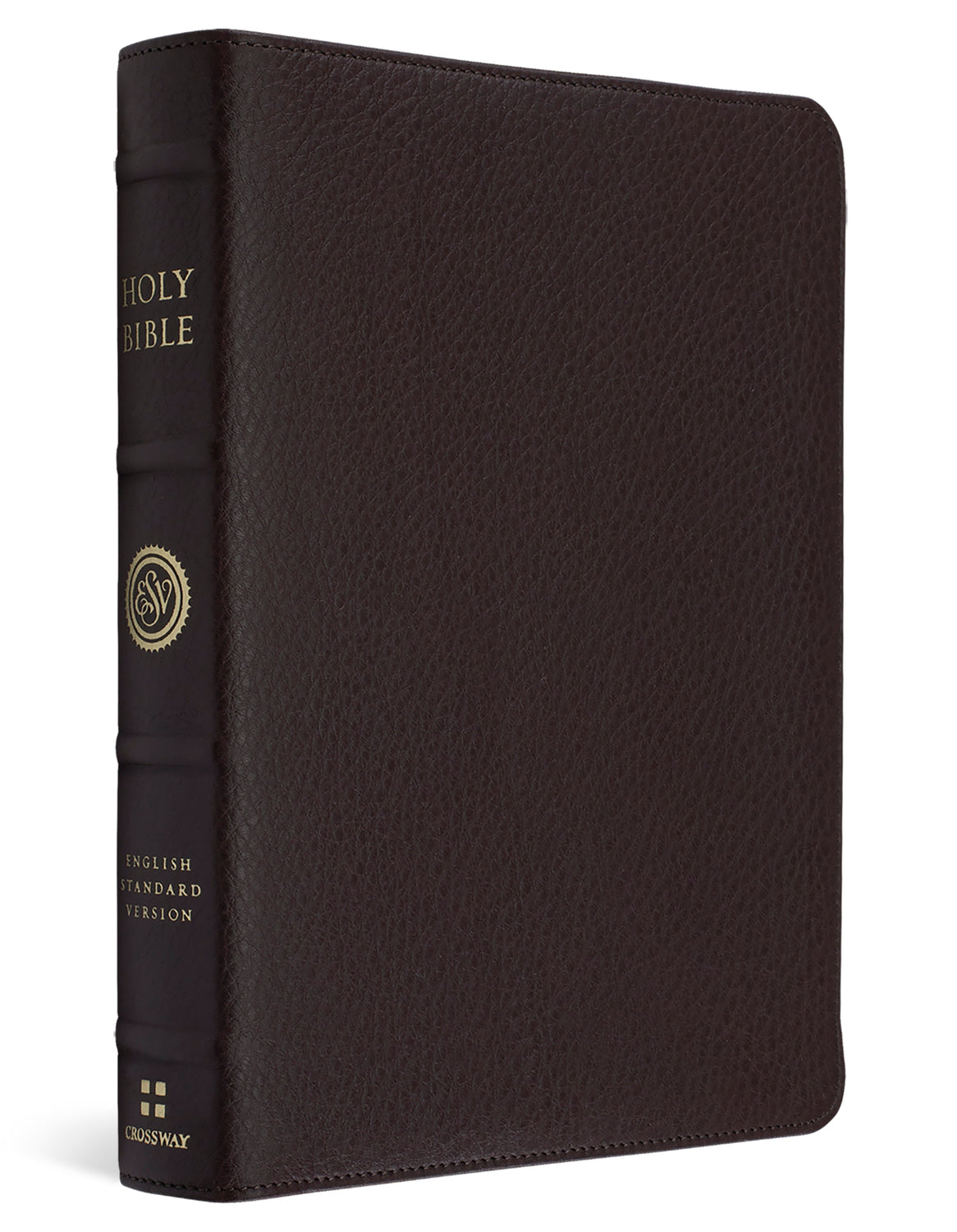 A dark brown textured leather Holy Bible with gold lettering on the spine, shown standing upright against a plain white background.