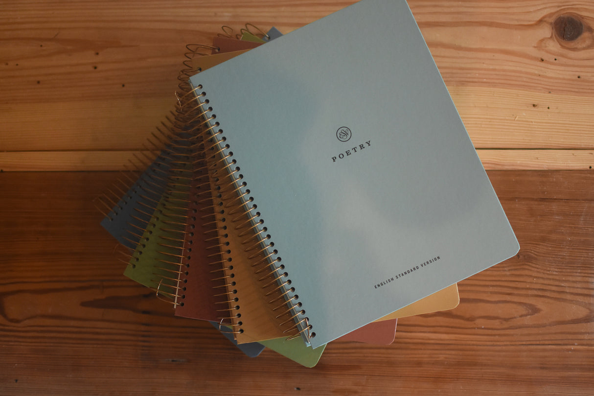ESV Spiral-Bound Journaling Bible, Five-Volume Set (Hardcover)
