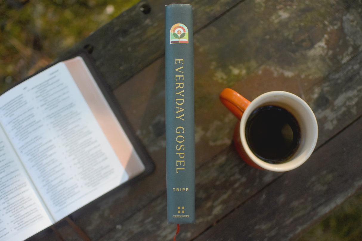 Everyday Gospel: A Daily Devotional Connecting Scripture to All of Life