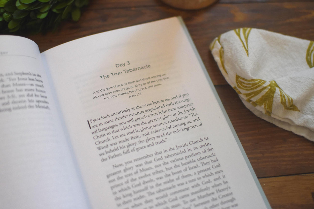 A Wondrous Mystery: Daily Advent Devotions