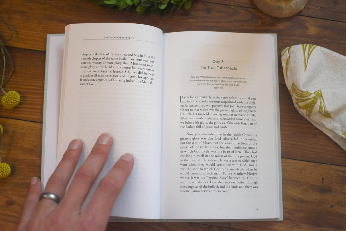 A Wondrous Mystery: Daily Advent Devotions