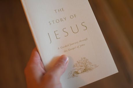 The Story of Jesus: A Guided Journey Through the Gospel of John (Paperback)