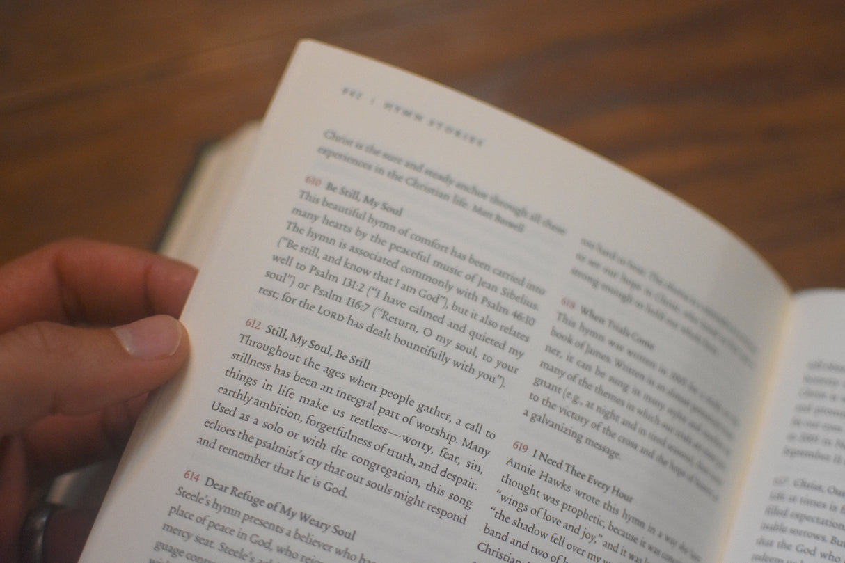 The Sing! Hymnal (Trutone Over Board, Brown)