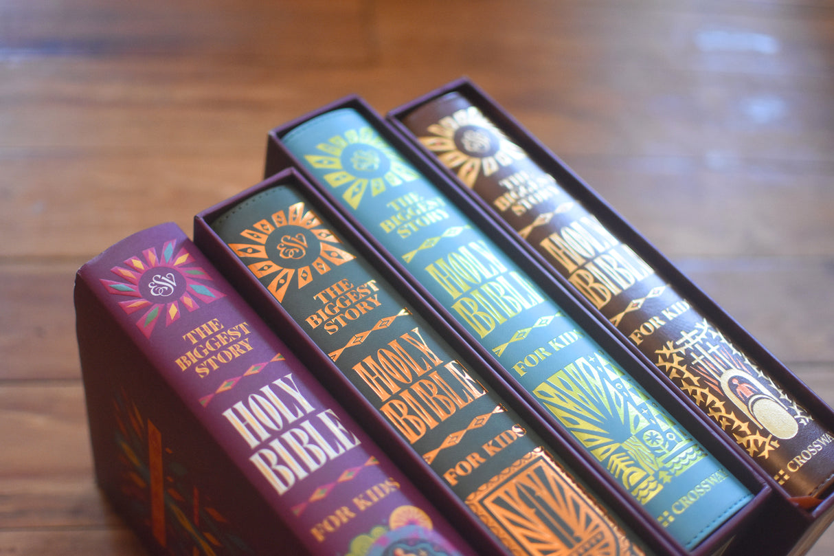 ESV the Biggest Story Holy Bible for Kids (Hardcover)