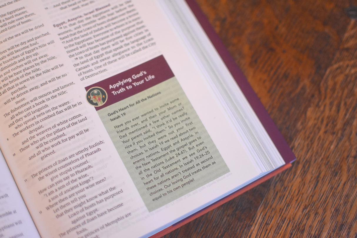 ESV the Biggest Story Holy Bible for Kids (Hardcover)