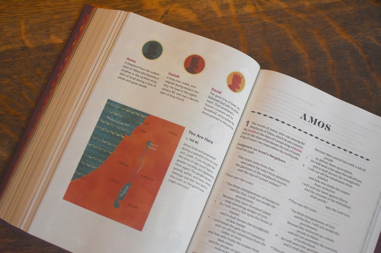 ESV the Biggest Story Holy Bible for Kids (Hardcover)