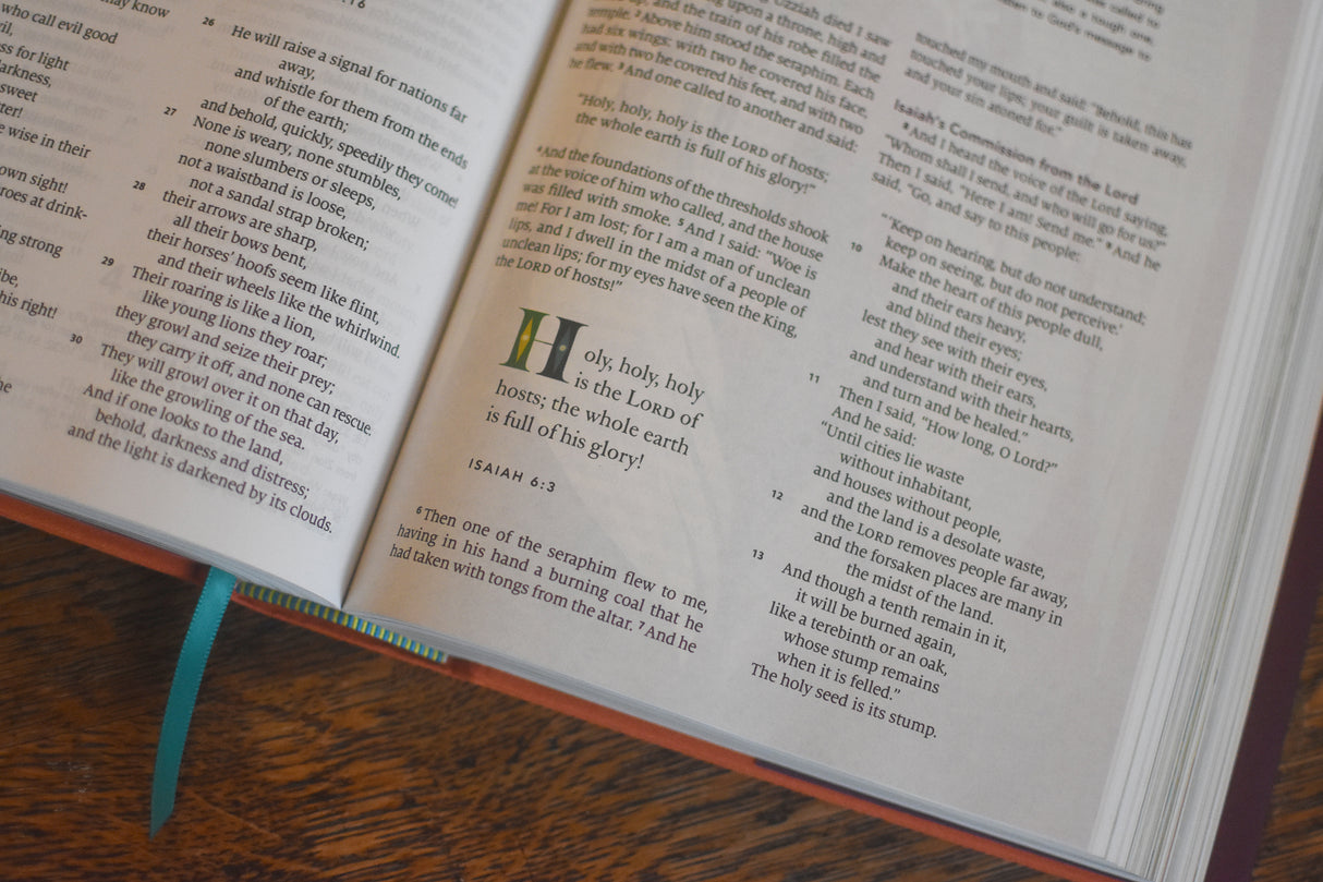 ESV the Biggest Story Holy Bible for Kids (Hardcover)