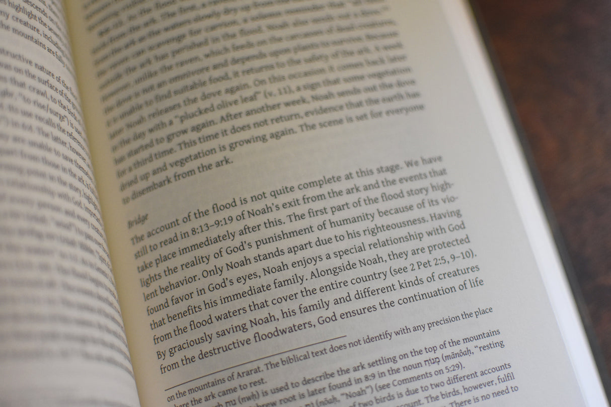 Evangelical Biblical Theology Commentary (13-Volume Set)