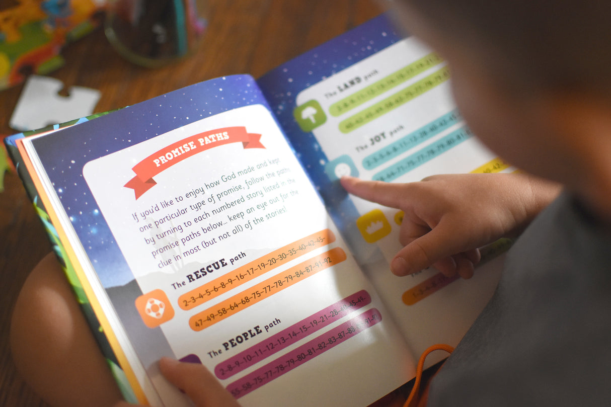God's Big Promises Bible Storybook