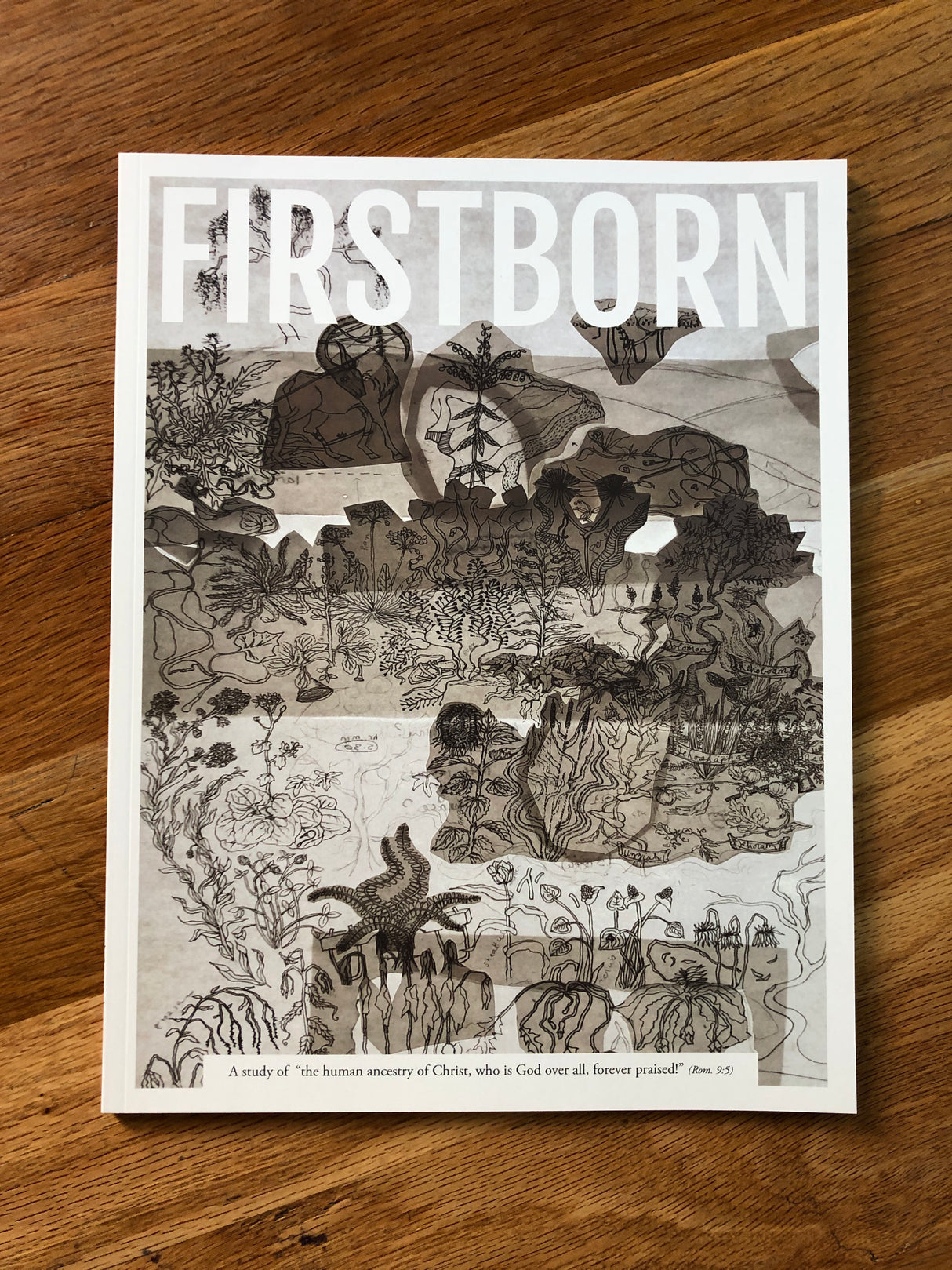 Firstborn - Poor Bishop Hooper - 9798990697133