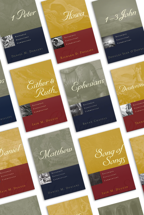 Reformed Expository Commentary Set Image