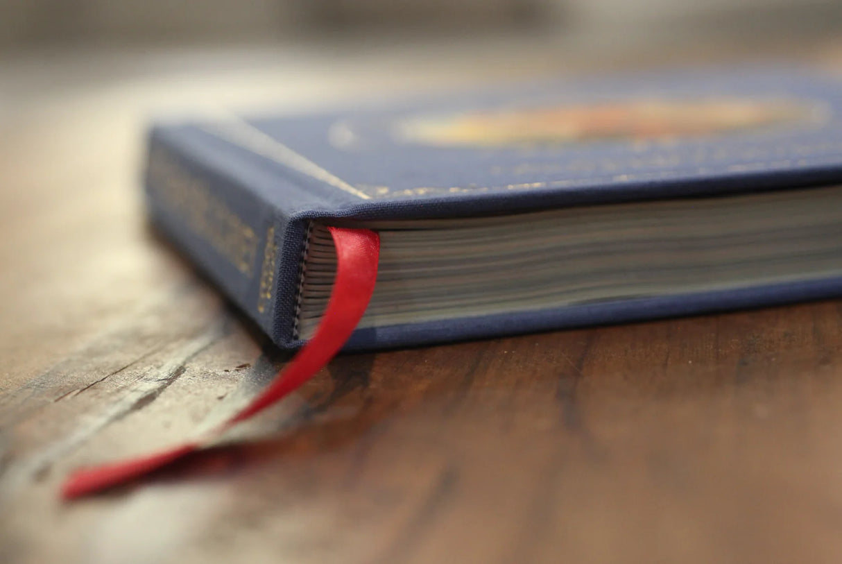 Little Pilgrim's Big Journey: The Complete Box Set (Part I, II, and III of John Bunyan's Pilgrim's Progress for Kids) - Van Halteren, Tyler - 9781989975299