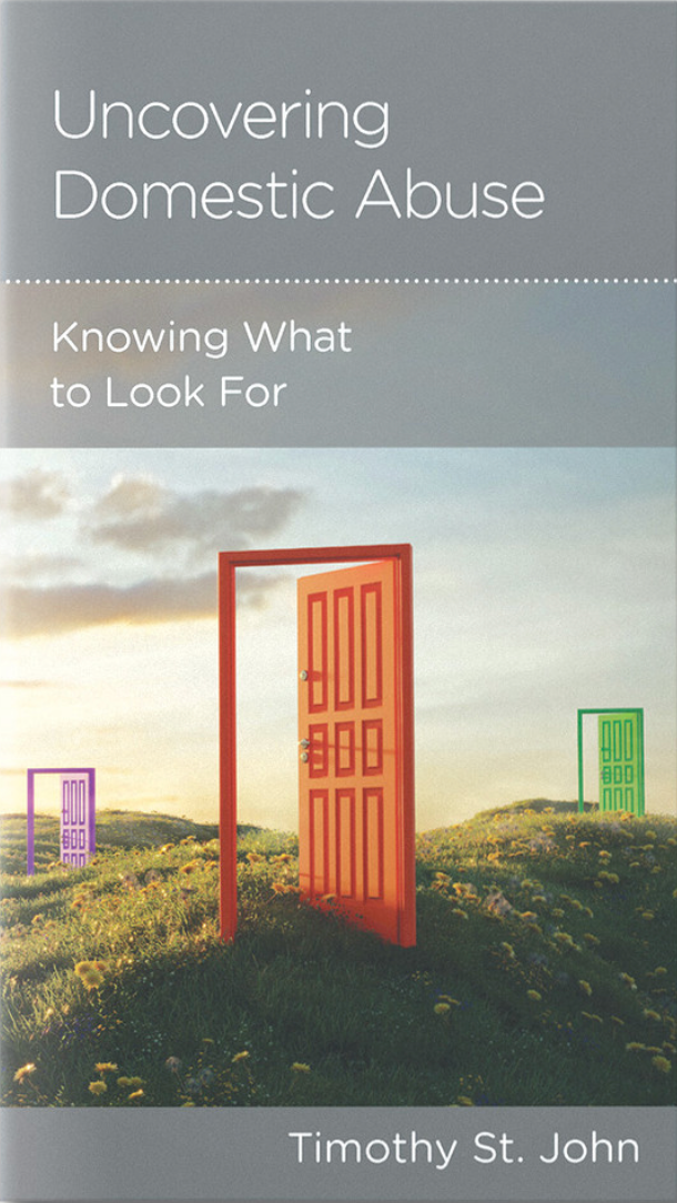 Uncovering Domestic Abuse: Knowing What to Look for - St John, Timothy - 9781645074250