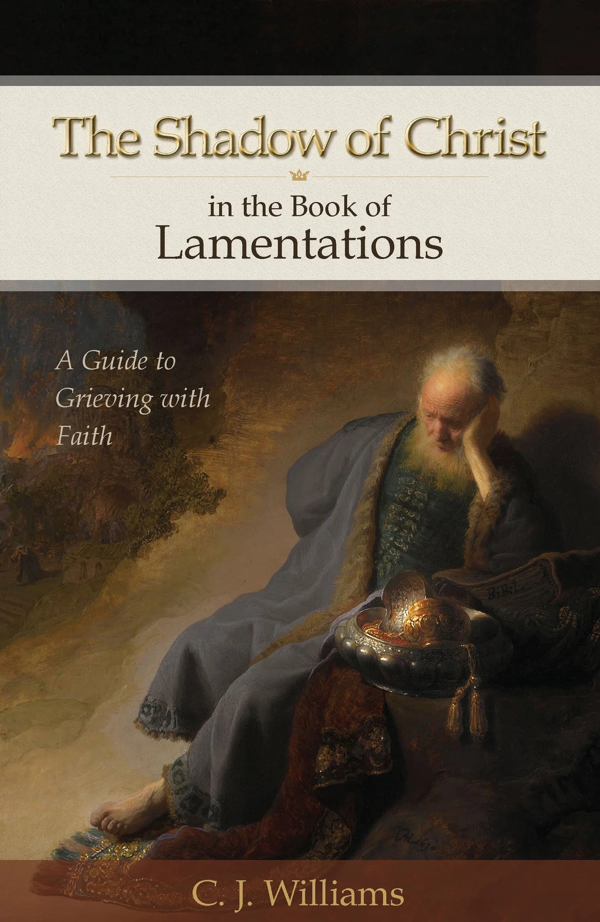 The Shadow of Christ in the Book of Lamentations: A Guide to Grieving with Faith - Williams, C J - 9781943017515