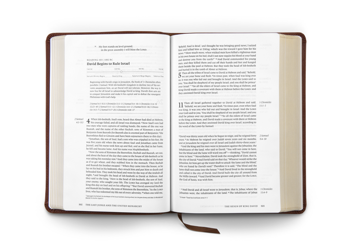 ESV Chronological Bible (Trutone, Brown)