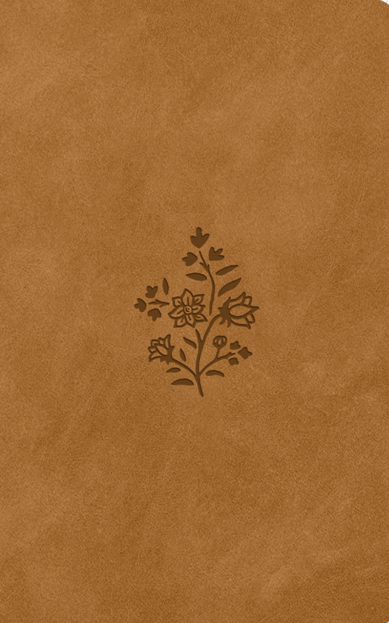 ESV Premium Gift Bible (Trutone, Nubuck Caramel, Wildflower Design) - English Standard - 9781433593116