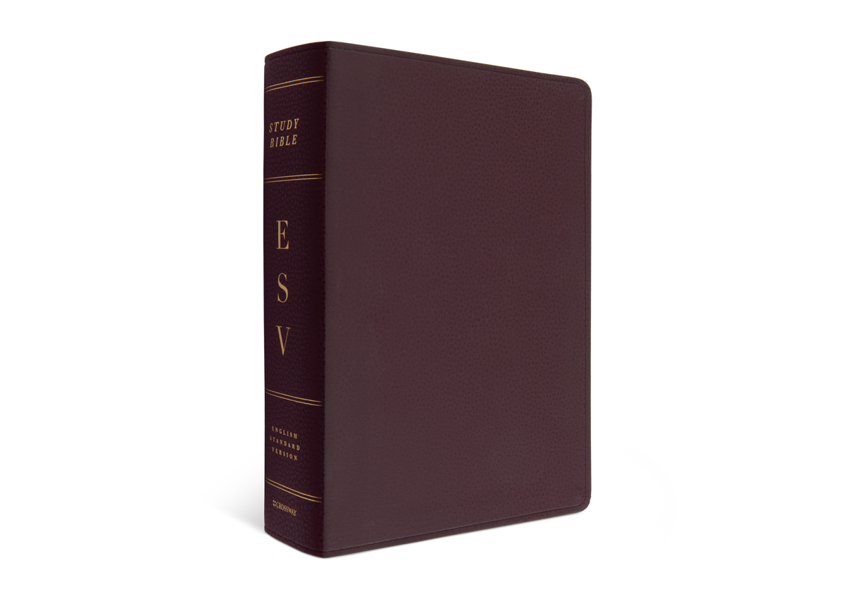ESV Study Bible, Large Print (Burgundy)