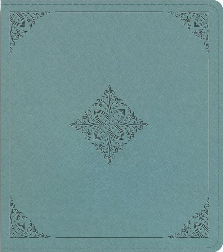 ESV Journaling Study Bible (Trutone Over Board, Paris Sky, Fleur-De-Lis Design) - ESV - 9798874902568
