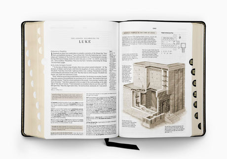 ESV Study Bible, Large Print (Black, Indexed)